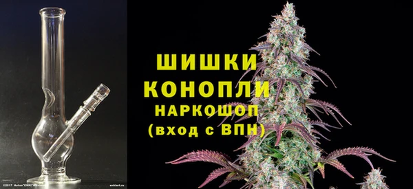 прущие крисы Гусев