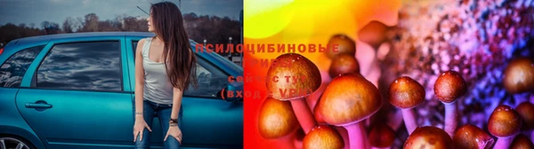 гидра Гусь-Хрустальный