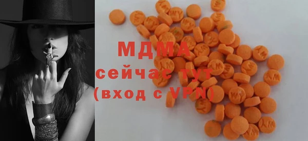 гидра Гусь-Хрустальный