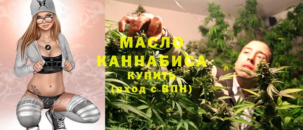 гидра Гусь-Хрустальный