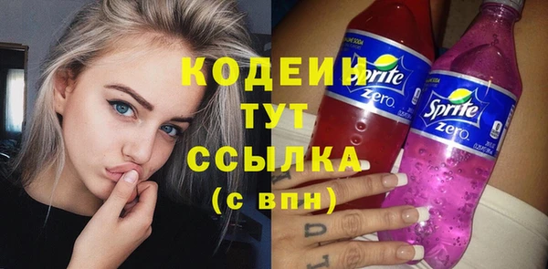 гидра Гусь-Хрустальный