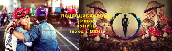 гидра Гусь-Хрустальный