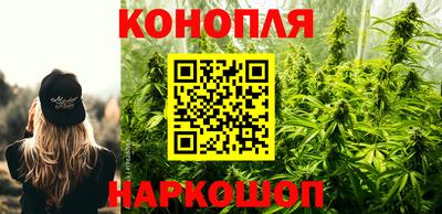 Альфа ПВП Лесосибирск