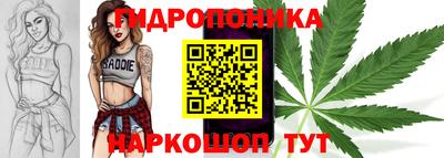 Альфа ПВП Лесосибирск