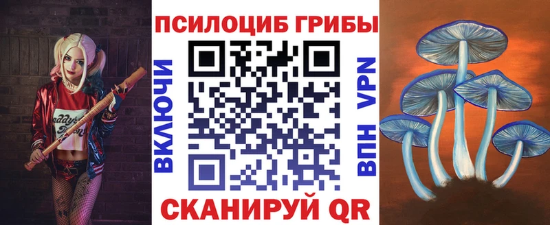 Галлюциногенные грибы GOLDEN TEACHER  Купить  Десногорск 