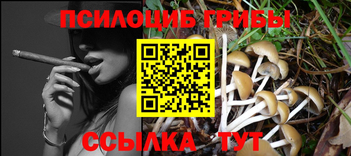 Псилоцибиновые грибы Cubensis Десногорск