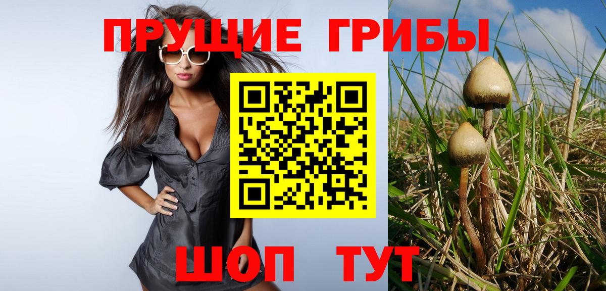 Галлюциногенные грибы MAGIC MUSHROOMS  Вход с VPN  Десногорск 