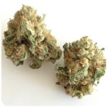 Шишки "White Widow"  (Белая вдова)  Гидропоника -  Бошка VHQ в Десногорске